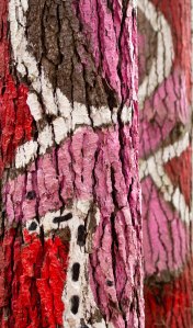 17122012. Bosque de Oma.Daniel Rivas. Urdin el perro.